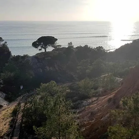 Cerro Branco